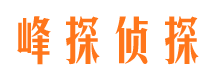 临潼市调查公司